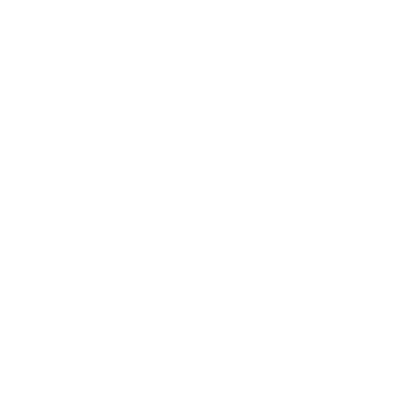logo capybara studio